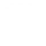 Track Record of Success